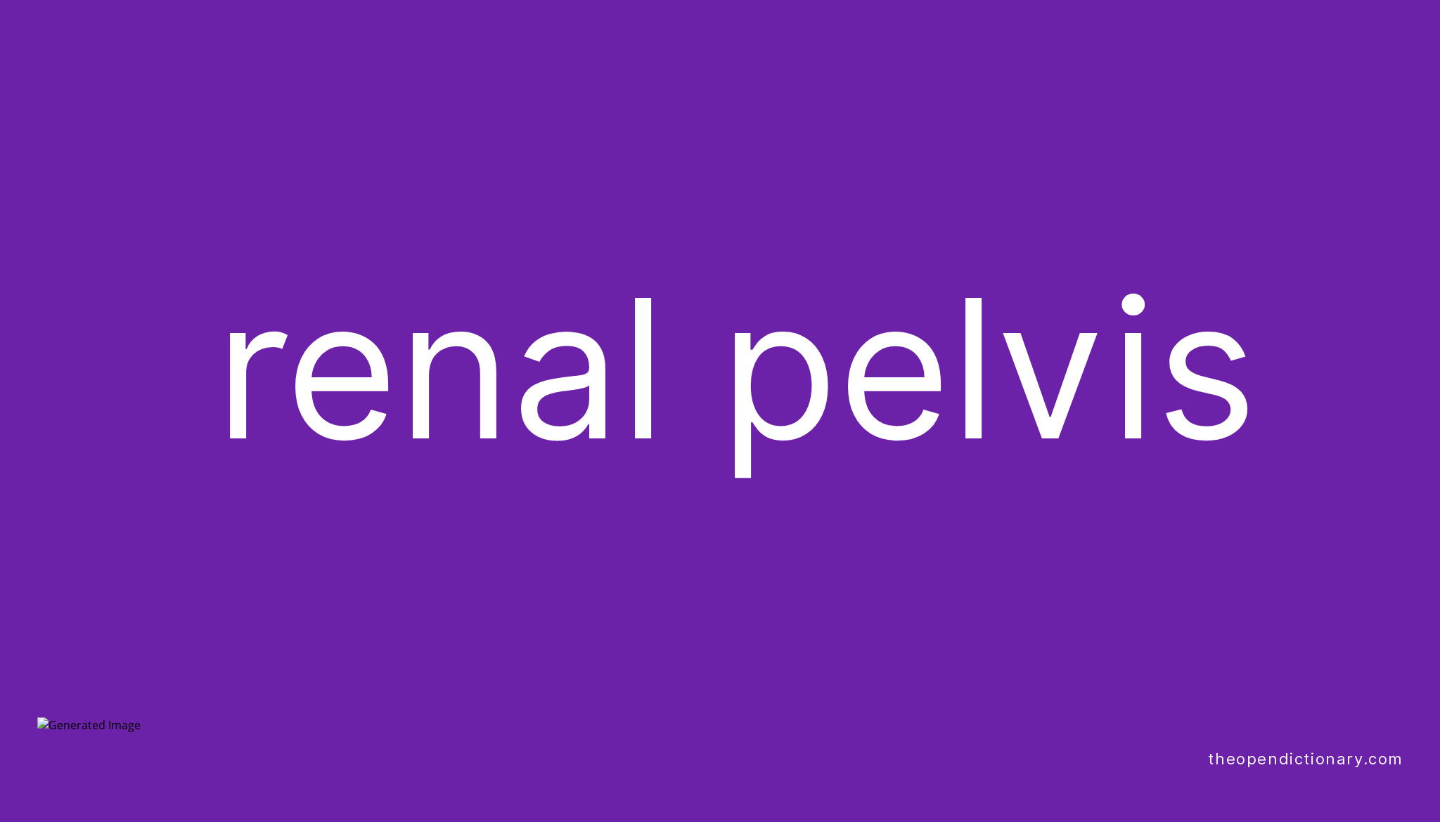 renal-pelvis-meaning-of-renal-pelvis-definition-of-renal-pelvis